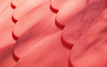 Dalavich plastic roof costs